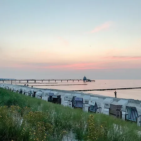 Heideweg, Og Daire Zingst